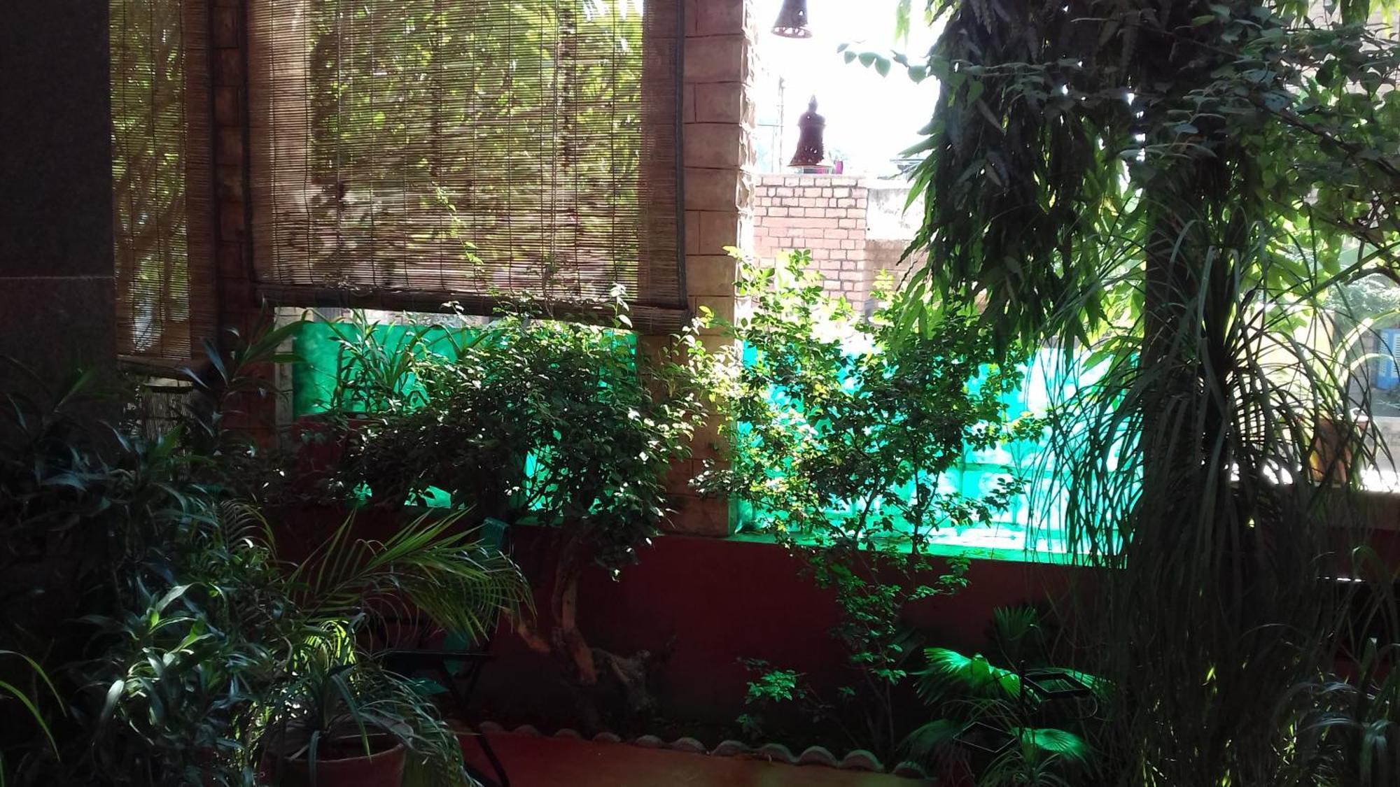 "Nain'S Kunj" A Traveller'S Home Jodhpur  Dış mekan fotoğraf